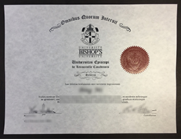 Bishop's University degree