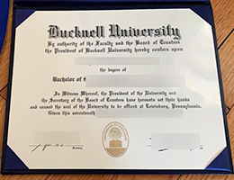 Bucknell University diploma certificate
