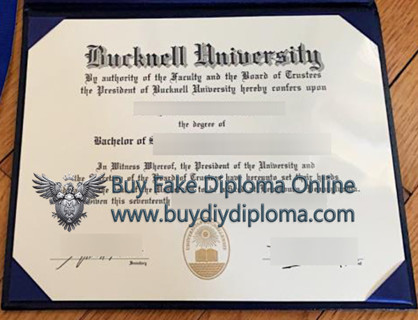 Bucknell University diploma