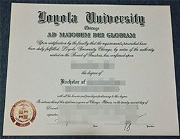Loyola University Chicago Diploma