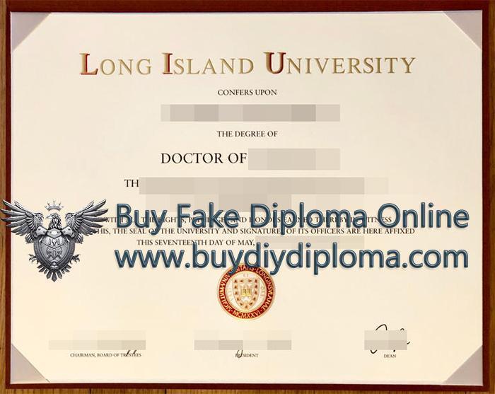 Loyola University Chicago Diploma