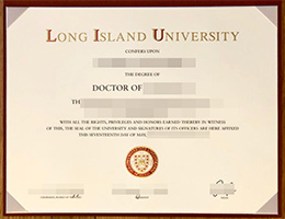 Loyola University Chicago Diploma certificate