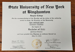 SUNY Binghamton Degree