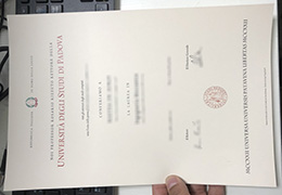 UNIPD degree certificate