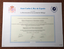 Universidad de Málaga diploma certificate