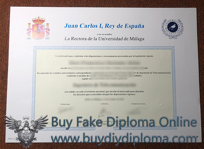 Universidad de Málaga diploma