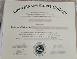 Georgia Gwinnett College diploma