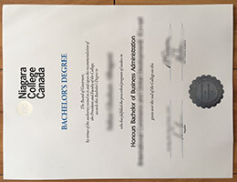 Niagara College degree certificate