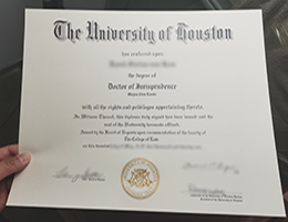 University of Houston Doctor diploma