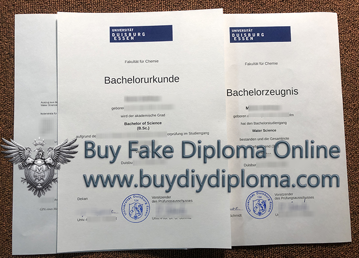 Universität Duisburg-Essen diploma with transcript