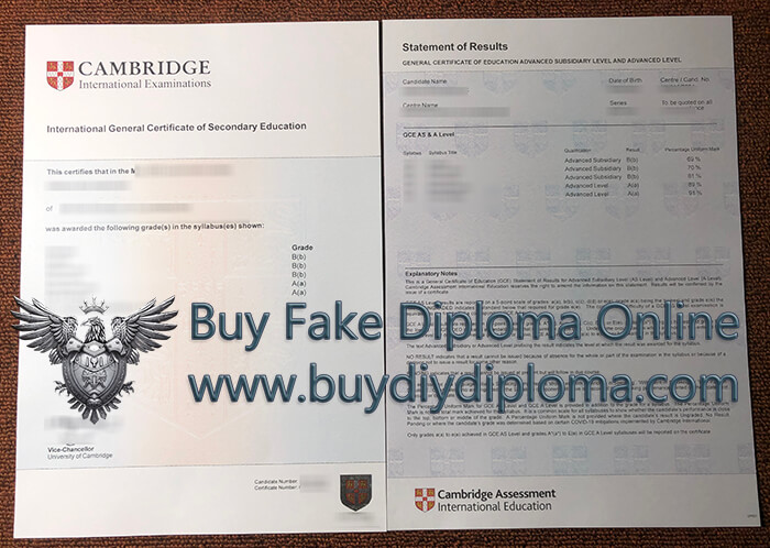 Cambridge IGCSE Certificate And Transcript 