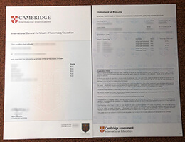 Cambridge IGCSE certificate with transcript