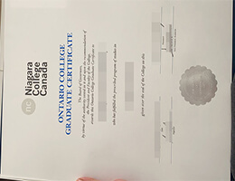 Niagara College Graduate Certificate certificate