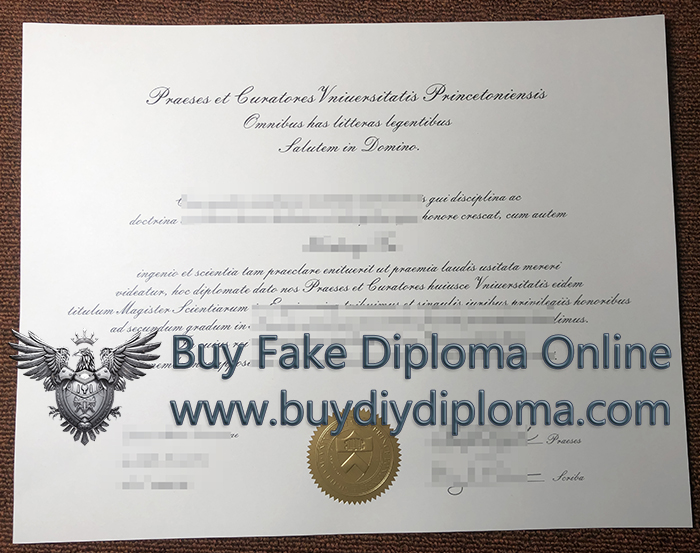 Princeton University Diploma