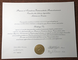 Princeton University Fake Diploma