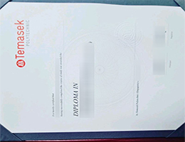 Temasek Polytechnic Diploma