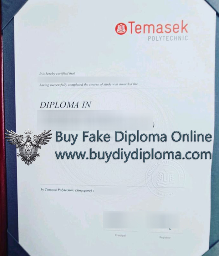 Temasek Polytechnic (TP) Diploma