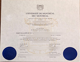 University of Montreal bachelor degree