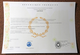 Grenoble Alpes University diploma certificate