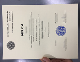 Heidelberg University diploma