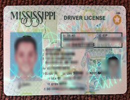 Mississippi Fake Drivers License