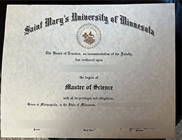 SMUMN degree