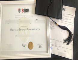 SSBM Geneva degree