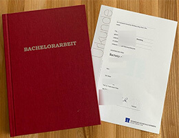 Technische Hochschule Nürnberg Urkunde