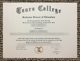 Touro College degree