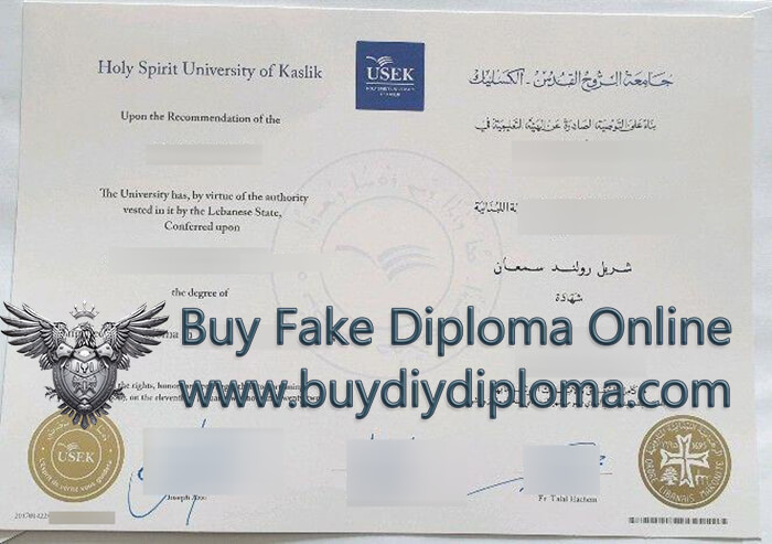 USEK degree