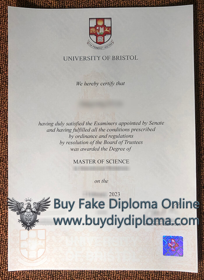 University of Bristol degree