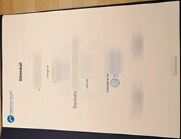 Molde University College diploma