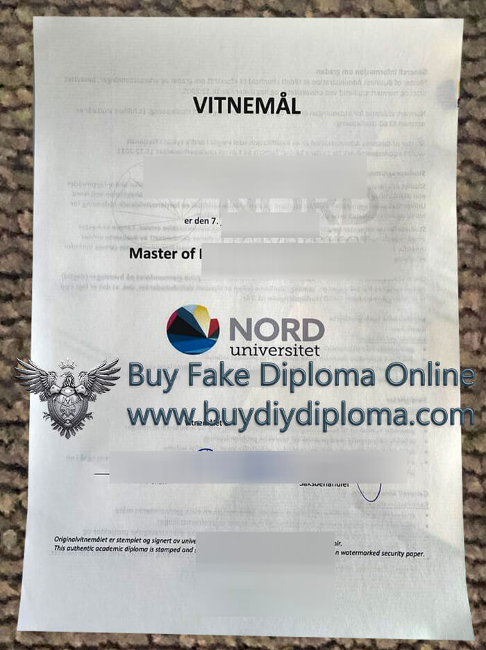 Nord University diploma