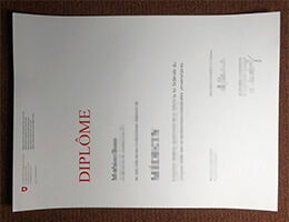 Swiss Confederation diploma certificate