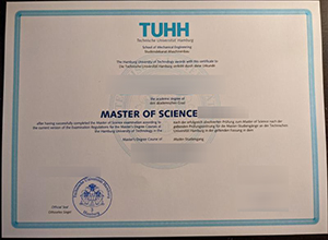 Technische Universität Hamburg diploma, TUHH degree