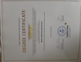 University of Turku degree certificate