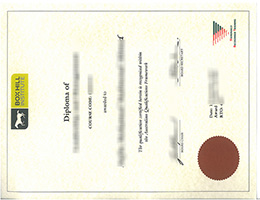 Box Hill Institute diploma