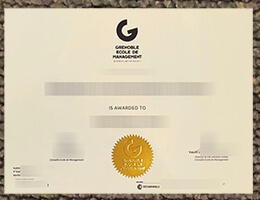 Grenoble School of Management degree certificate