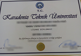 Karadeniz Technical University Diploma Sample