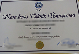 Karadeniz Technical University Diploma Sample