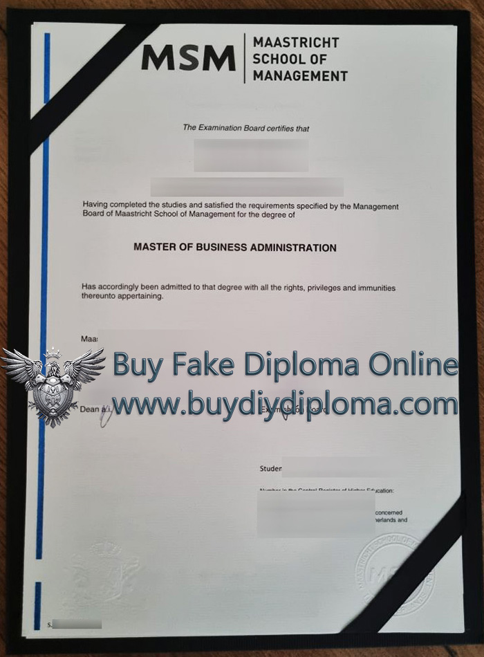 Maastricht School of Management (MSM) diploma