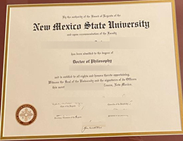 NM State diploma