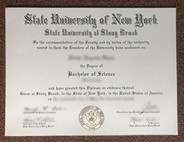 Stony Brook University BSc diploma