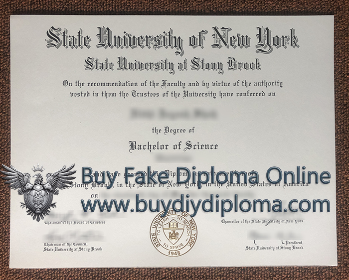 Stony Brook University BSc diploma