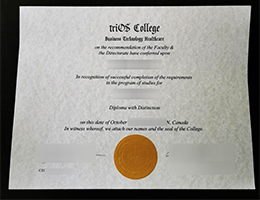 TriOS College Diploma Certificate