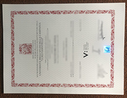 University of Campania diploma certificate