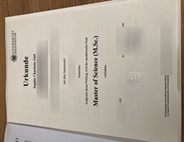 University of Mannheim diploma certificate