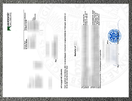 University of Salzburg diploma certificate