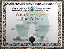 Üsküdar University diploma certificate