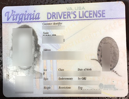 Virginia driver's license